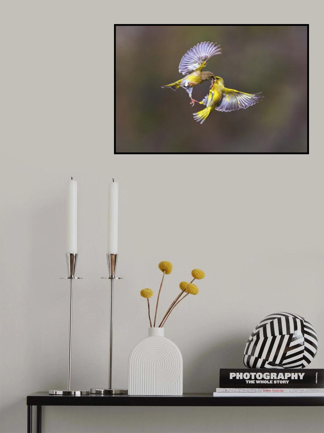 Wings &amp; beak Poster och Canvastavla