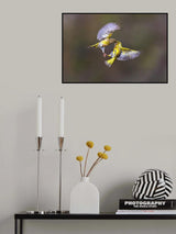 Wings &amp; beak Poster och Canvastavla