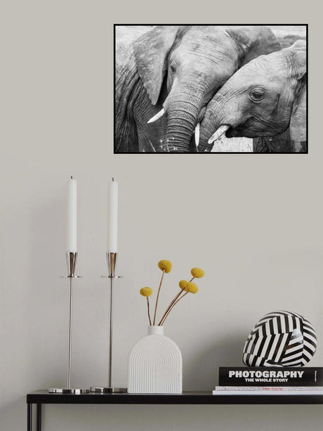 Affection Poster och Canvastavla