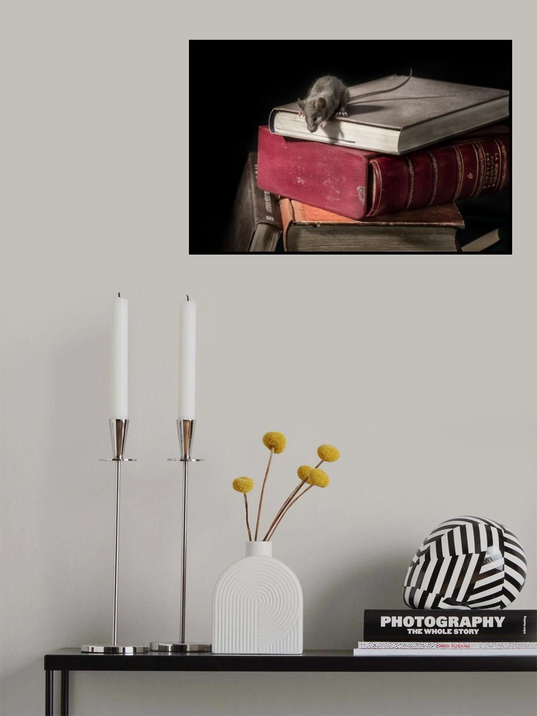 ratón de biblioteca 3 Poster och Canvastavla