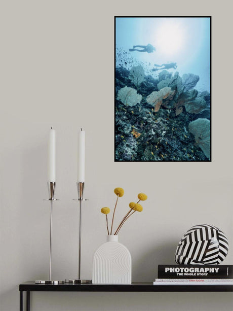 Thé field Poster och Canvastavla