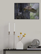 My babies are hangry Poster och Canvastavla