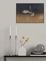 Poster och Canvastavla