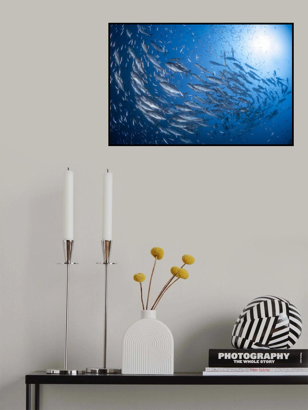 A school of trevaly Poster och Canvastavla