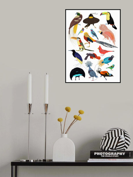 Birds of Paradise Poster och Canvastavla