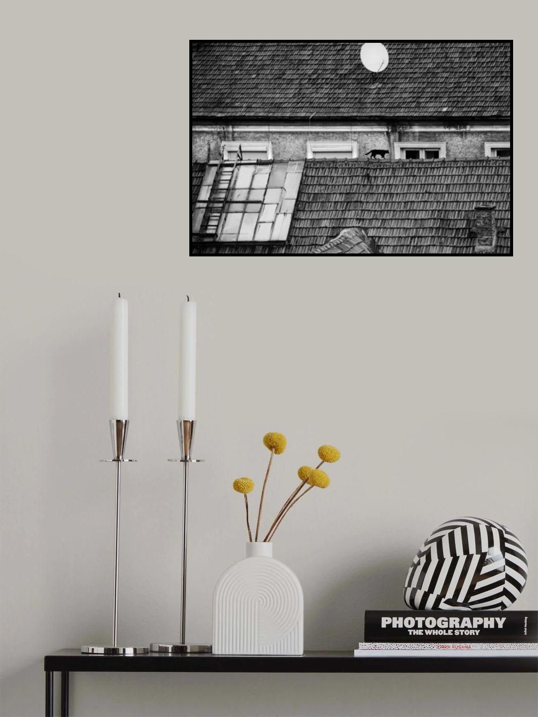 roof cat Poster och Canvastavla