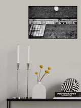 roof cat Poster och Canvastavla