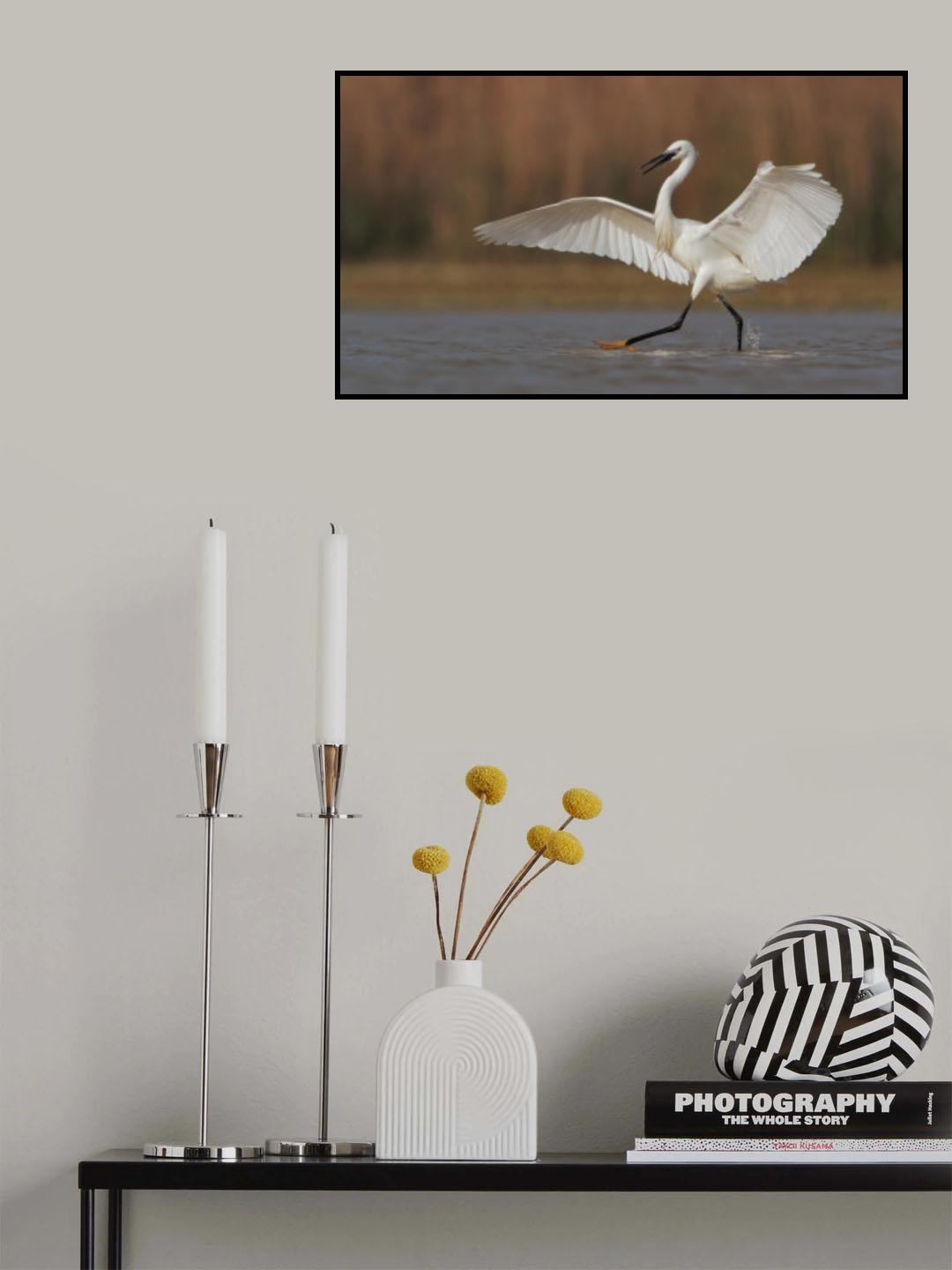 A perfect ballet dancer Poster och Canvastavla