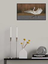 A perfect ballet dancer Poster och Canvastavla