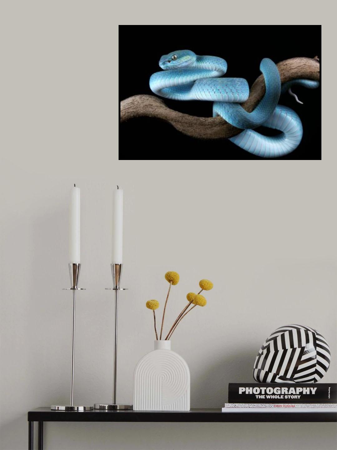 Danger Blue Poster och Canvastavla