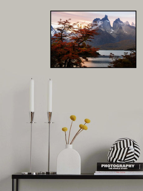 Autumnal sunset Poster och Canvastavla