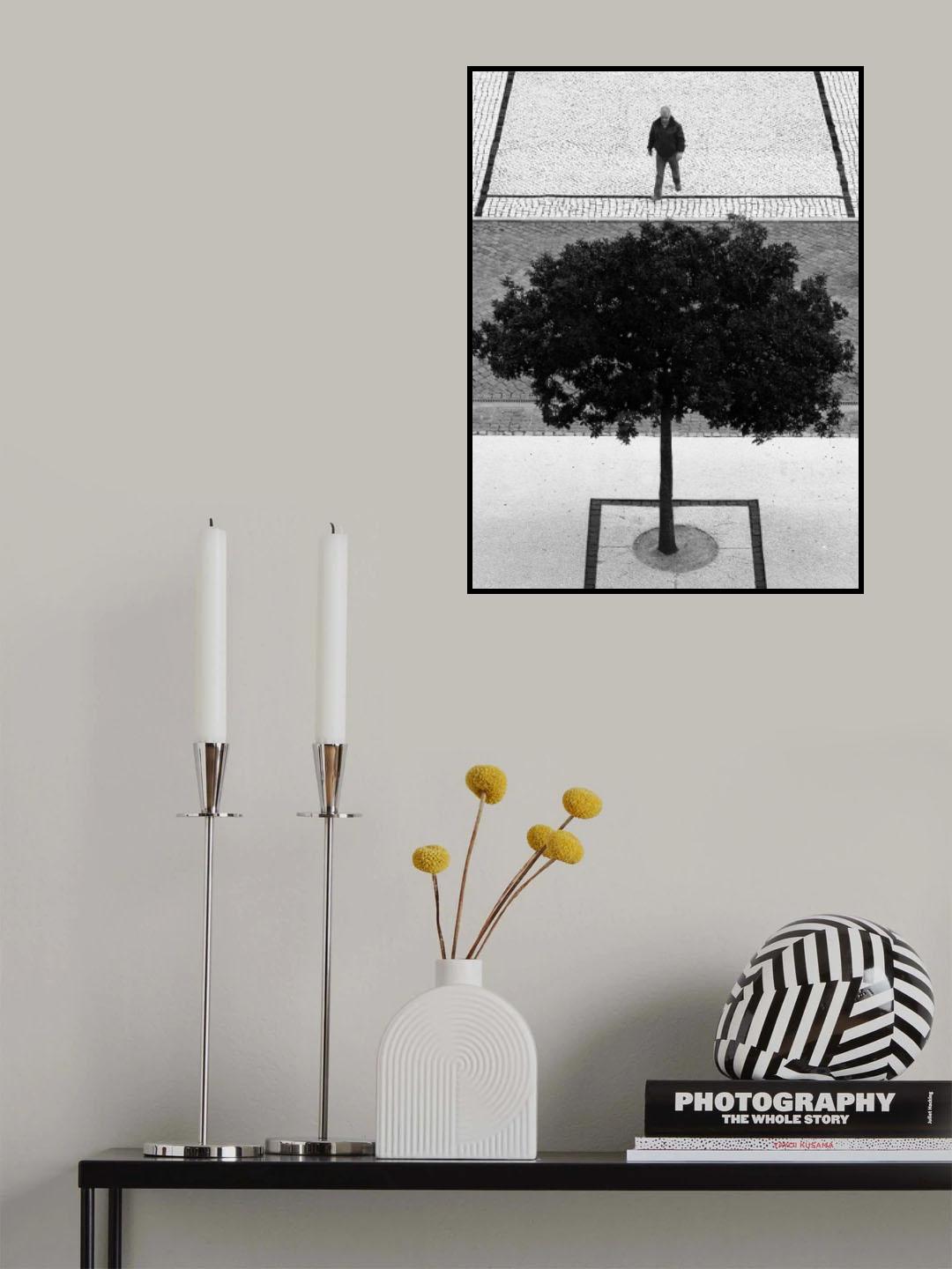Two Silver Trees Poster och Canvastavla