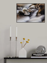 Water and ice Poster och Canvastavla
