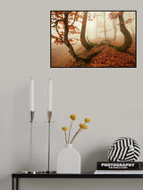 Autumn octopus in the Ore Mountains Poster och Canvastavla