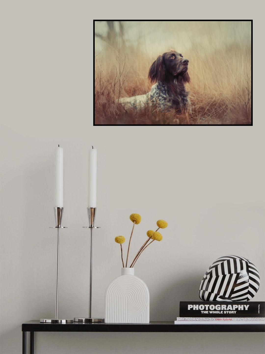 Beautiful Aragorn Poster och Canvastavla