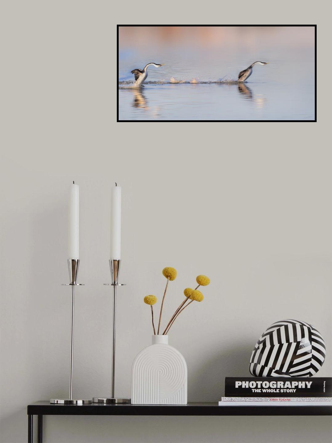 Chase After Poster och Canvastavla