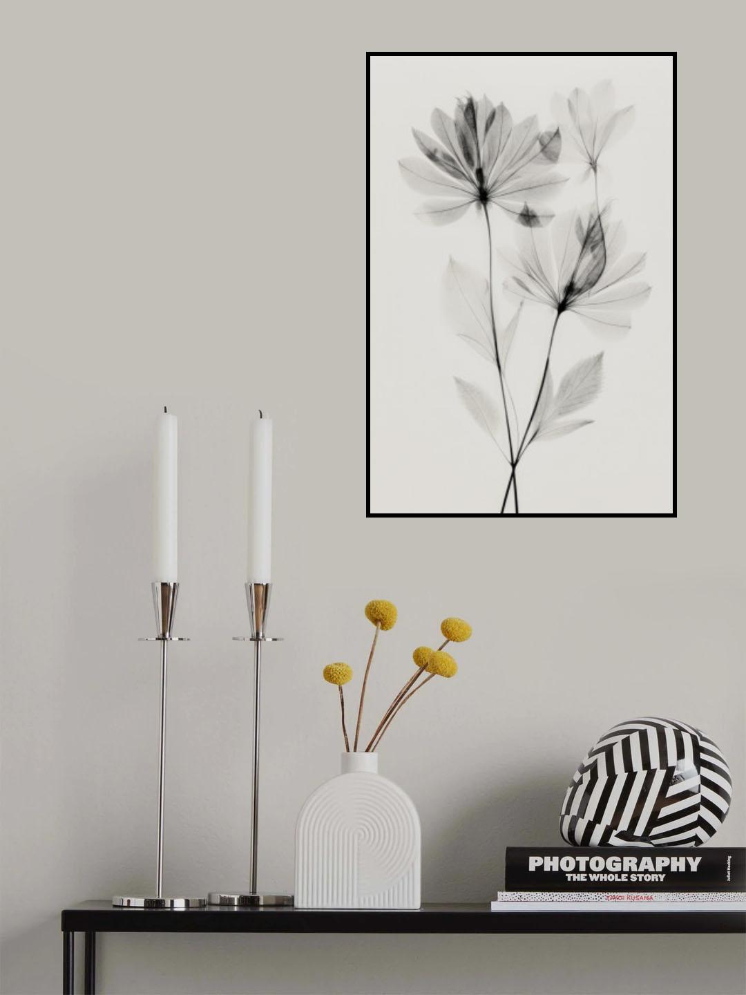 Transparent Botanic No 4 Poster och Canvastavla