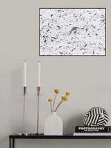 Poster och Canvastavla