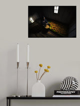 Corner of Corn Poster och Canvastavla