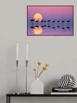 Family Flamingos Poster och Canvastavla
