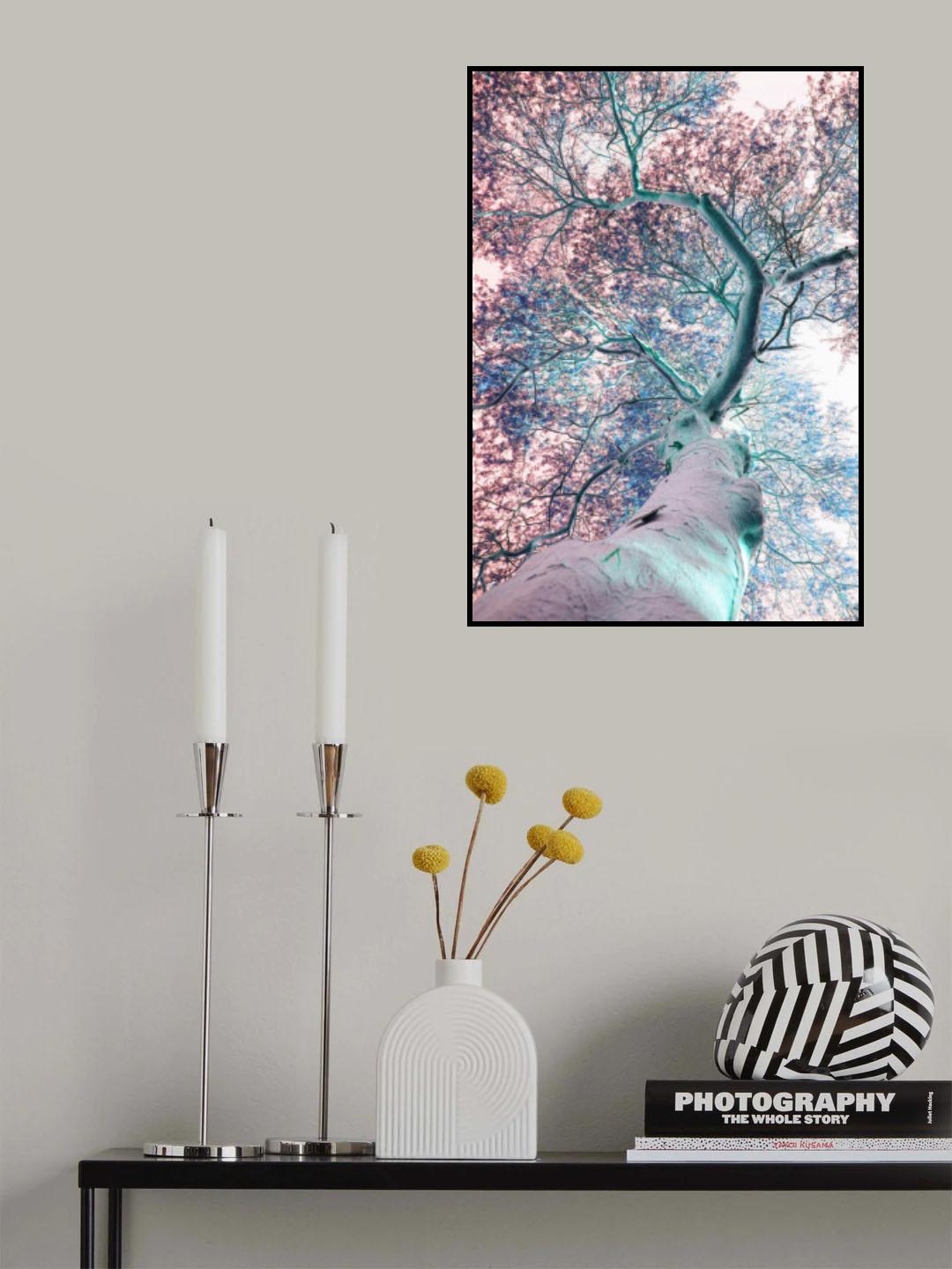Fever Tree Poster och Canvastavla