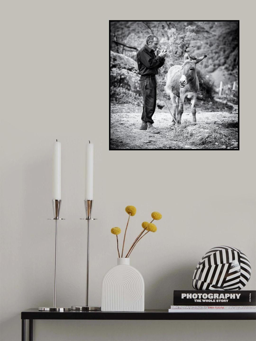 Vova and his donkey Poster och Canvastavla