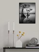 Dancing Trees Poster och Canvastavla