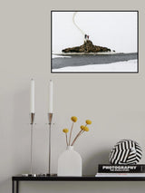 flock of sheep Poster och Canvastavla