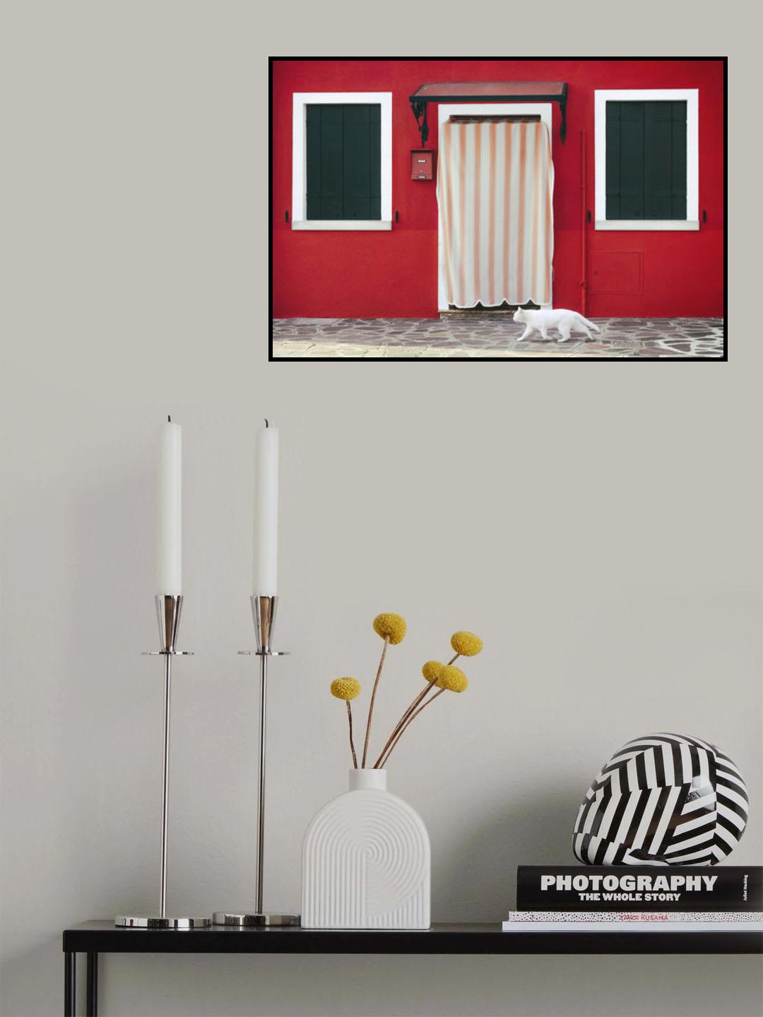 Cat walk Poster och Canvastavla