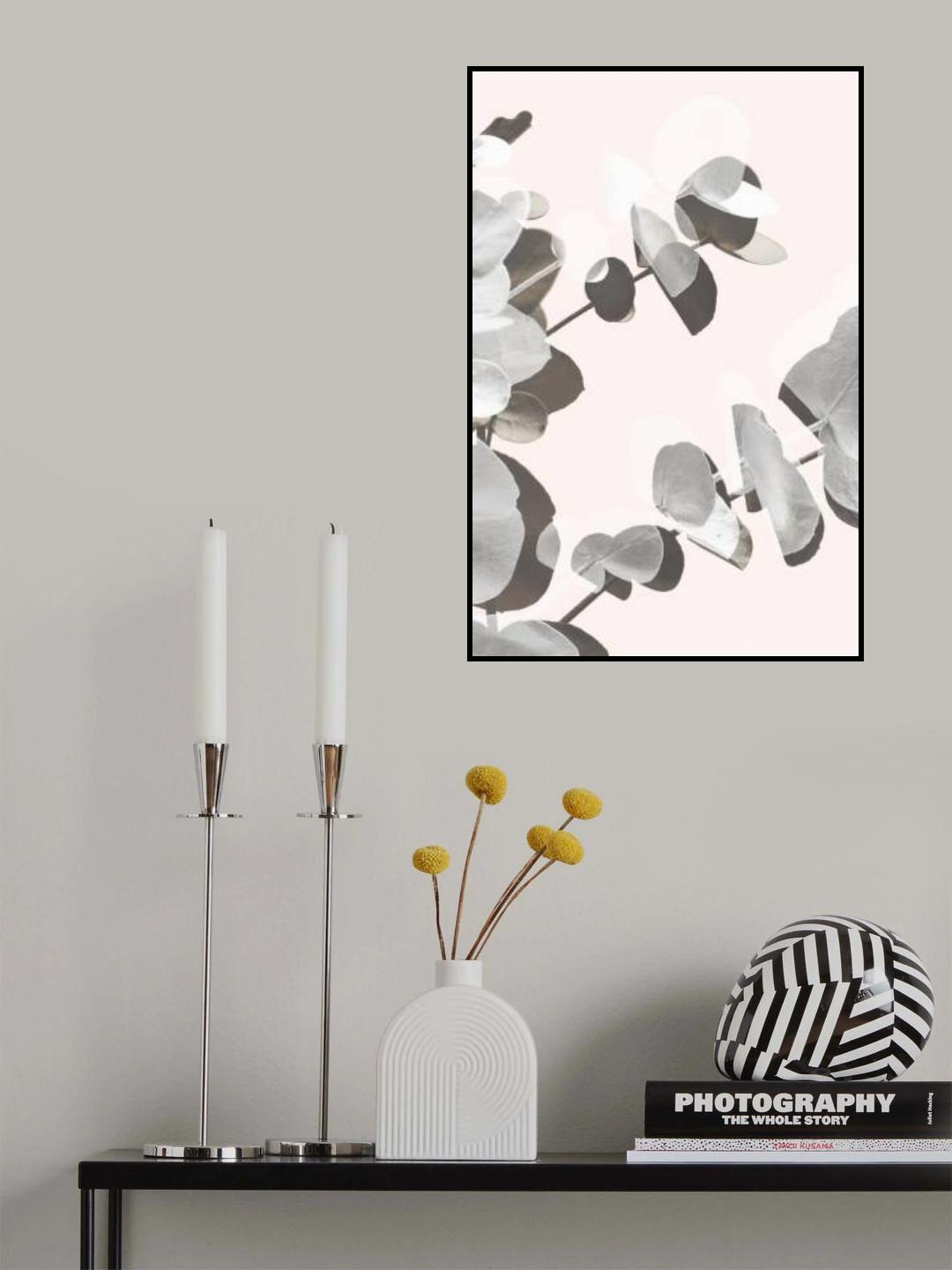 Eucalyptus Creative 14 Poster och Canvastavla