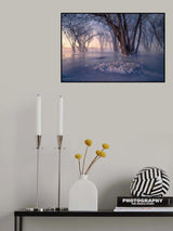 Secret Forest in Ice and Snow Poster och Canvastavla