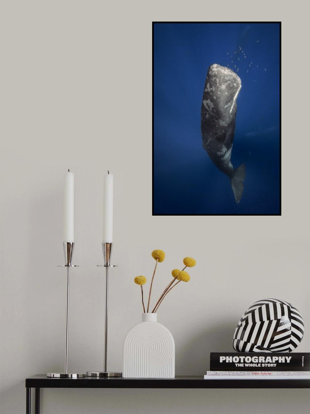 Candle sperm whale Poster och Canvastavla