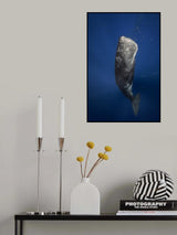 Candle sperm whale Poster och Canvastavla