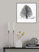 LONELY TREE Poster och Canvastavla