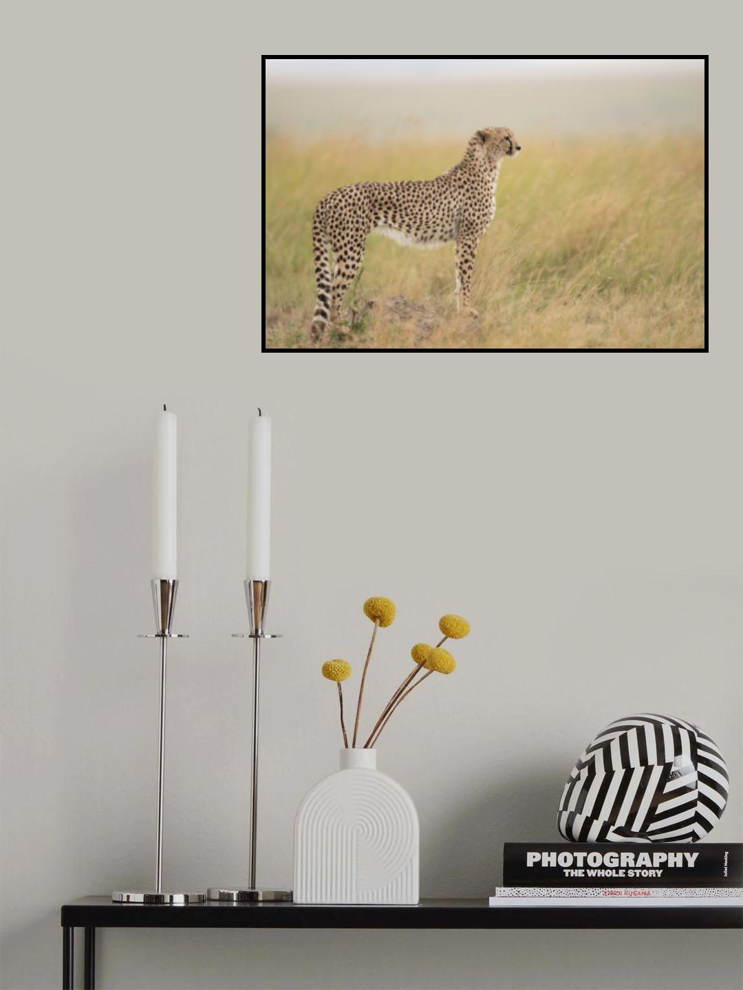 Poster och Canvastavla