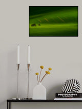 Rolling hills Poster och Canvastavla