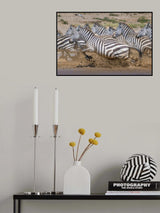Dash for survival Poster och Canvastavla