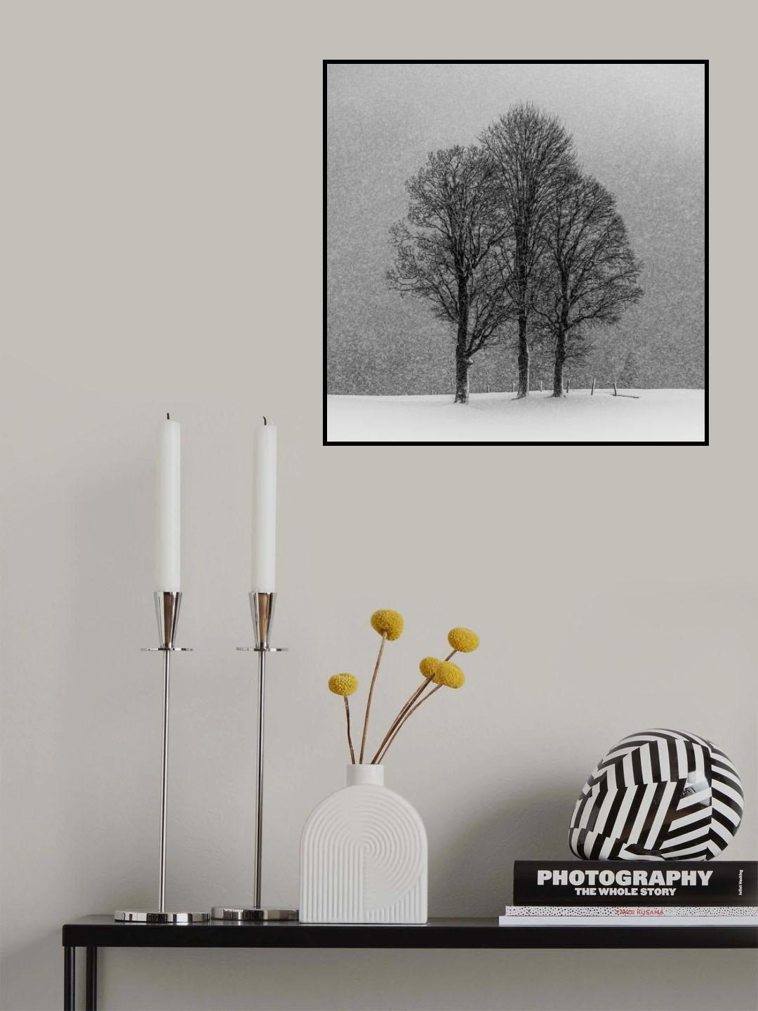 dreaming Poster och Canvastavla