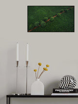 Green Pearls Poster och Canvastavla