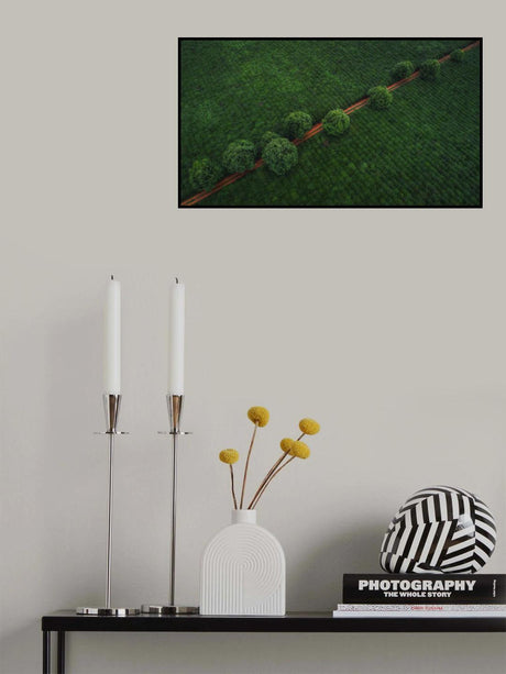 Green Pearls Poster och Canvastavla