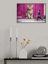 Feline canine Poster och Canvastavla