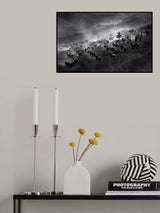 herd Poster och Canvastavla