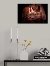 RHINO POSING Poster och Canvastavla