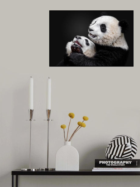 Pandas Poster och Canvastavla