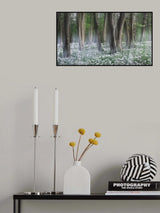 Wild garlic forest Poster och Canvastavla