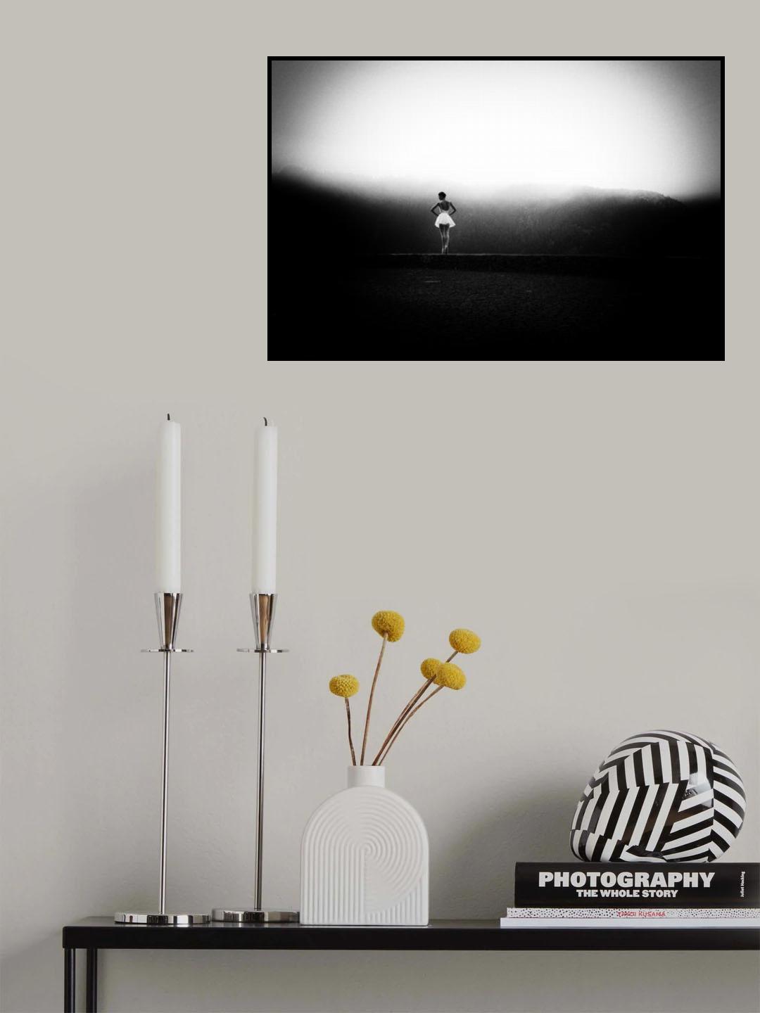 n/t Poster och Canvastavla