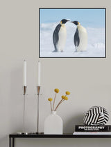 LOVE Poster och Canvastavla