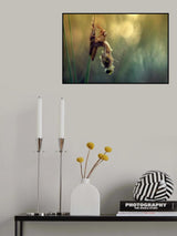 Creation of new life Poster och Canvastavla