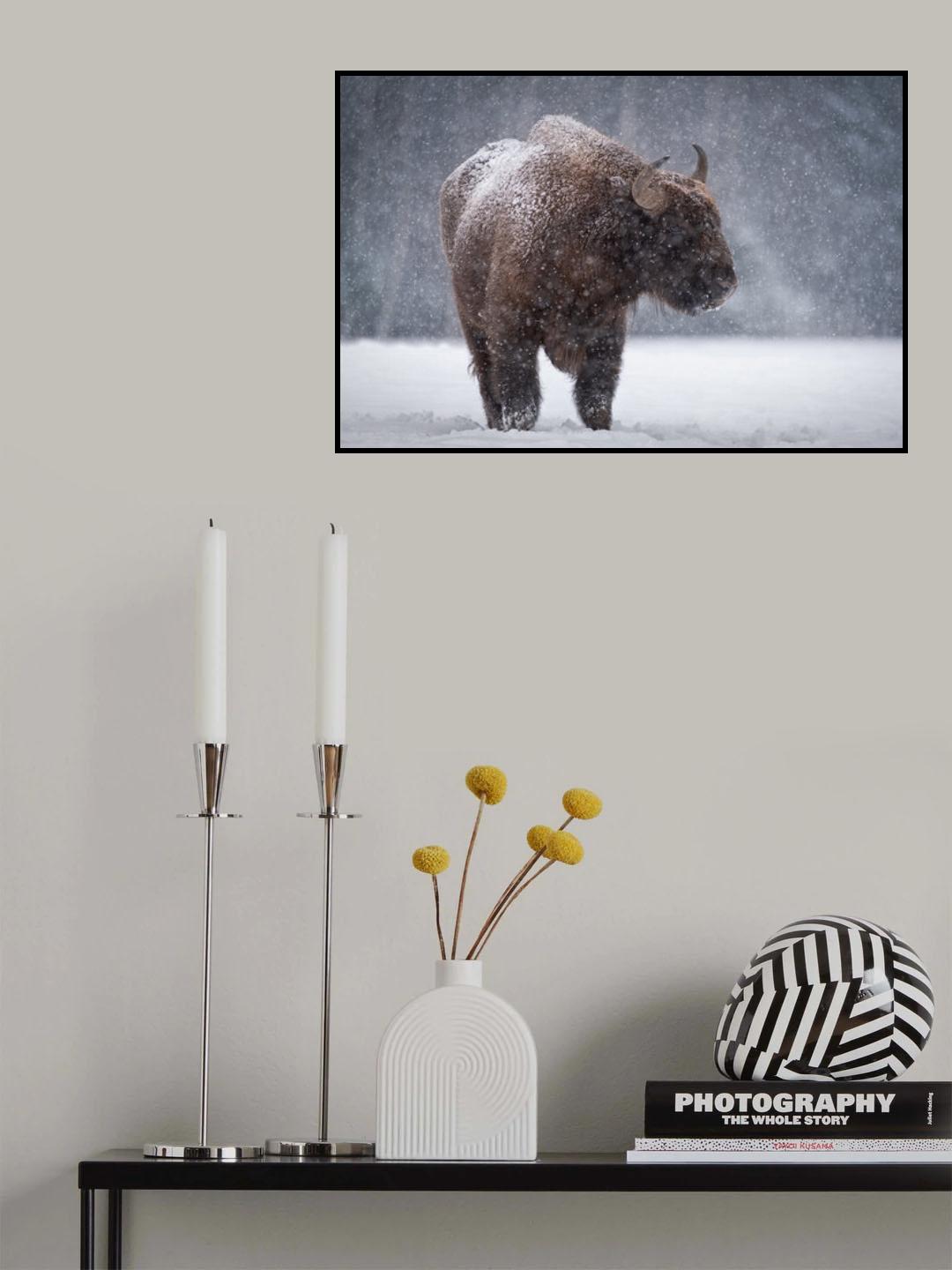 Tramp Poster och Canvastavla