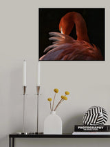 Feather repair Poster och Canvastavla